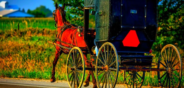 Ripple CEO Says Apple Pay and Banks Use Outdated ‘Horse and Buggy’ Technology