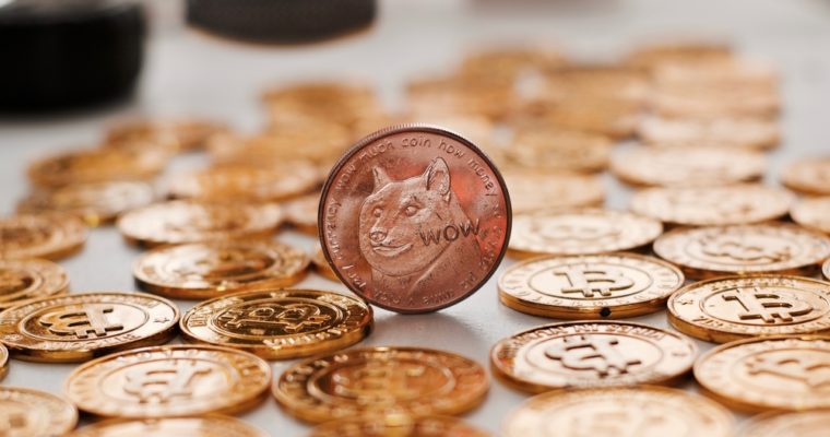 Dogecoin price