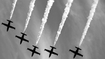 Tokens Record Losses as Major Cryptos Struggle; Bitcoin Stable at $6,500