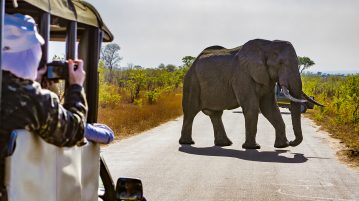 Ecobank Report Finds Significant Presence of Crypto in 36 African Countries