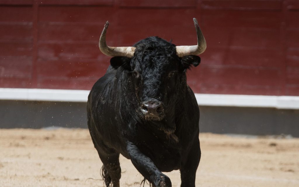 Bitcoin Price LIVE: Bullrun in Cards As ETF HYPE Fuels Unprecedented RISE