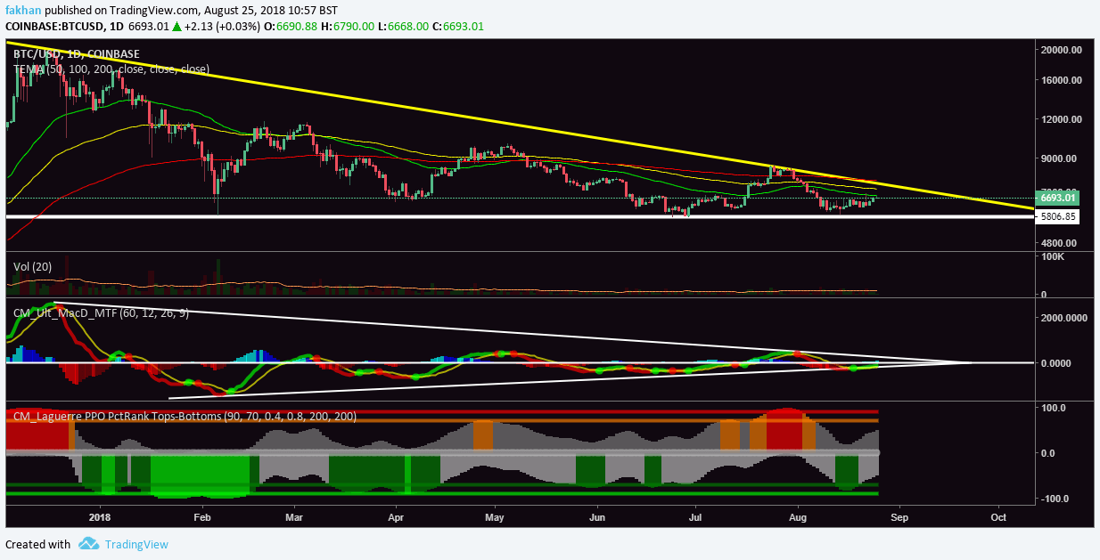 Bitcoin Chart With Values