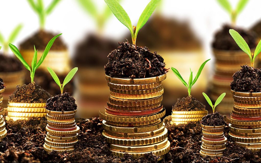 5 Blockchain-Based Diversification Options for Cryptocurrency Portfolios
