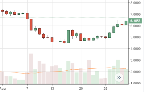 August Markets Report: Heavy Selling Across Leading Crypto Markets