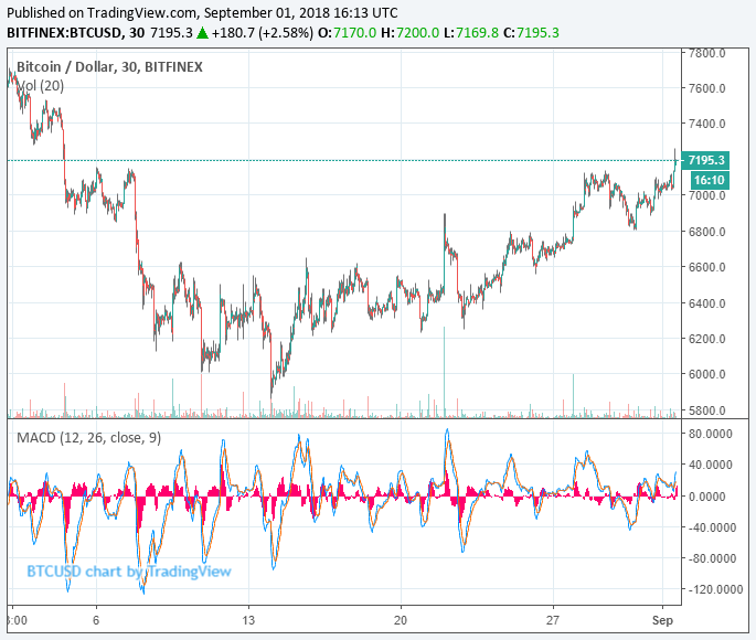 bitcoin price