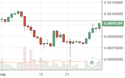 August Markets Report: Heavy Selling Across Leading Crypto Markets