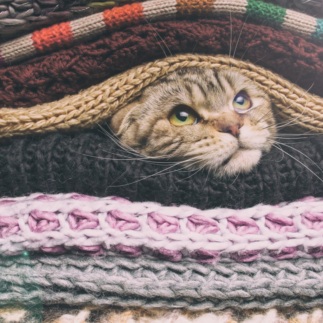 Wrapped BTC Is Coming to Ethereum
