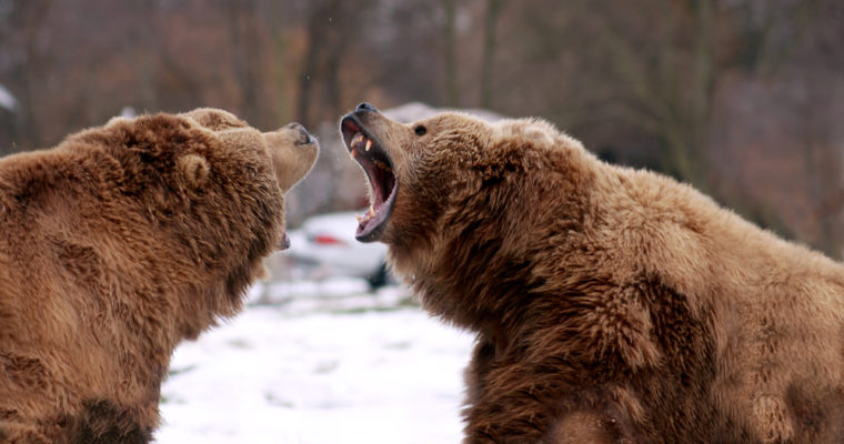 bitcoin bears bitmex ceo arthur hayes