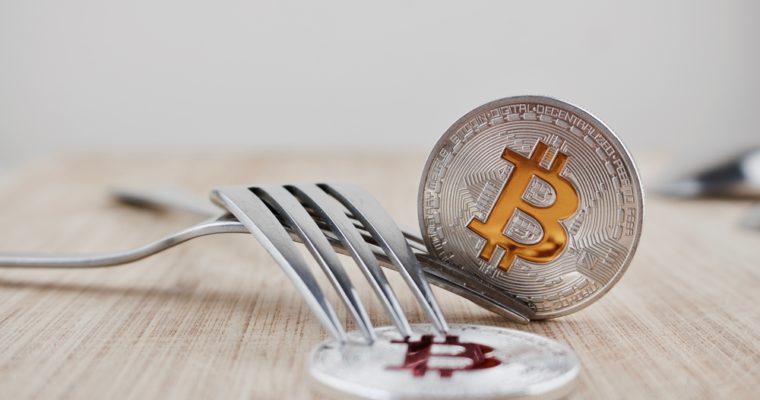 bitcoin cash hard fork