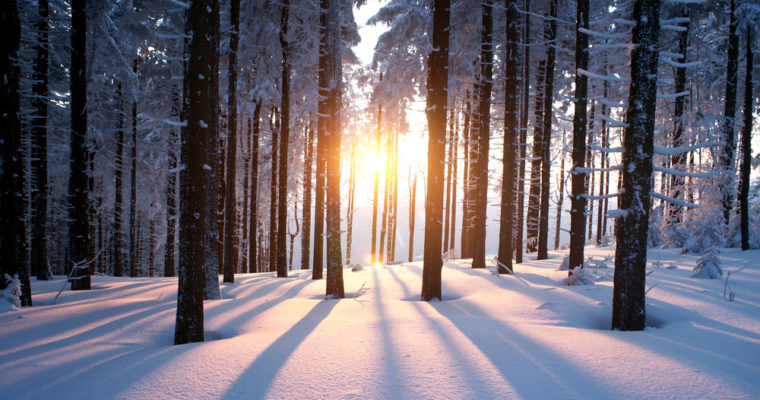 Zcash Overwinter
