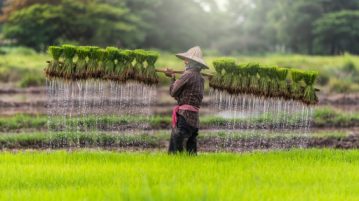 Oxfam Formally Launches Blockchain Platform for Rice Farmers in Cambodia