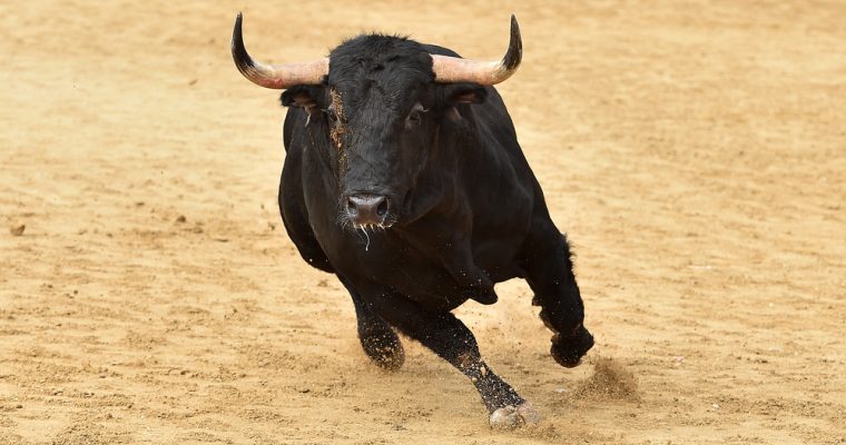bitcoin cash price