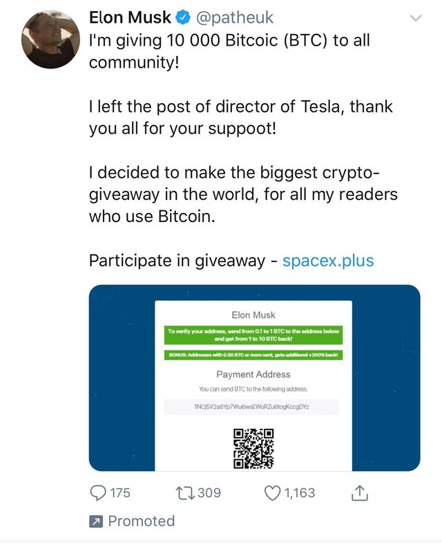 elon musk crypto scam