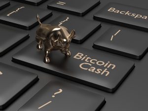 Kraken Launches Margin Trading for BCH Pairings