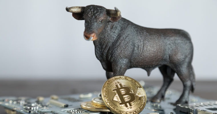 bitcoin price bull