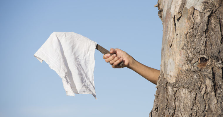 bitcoin price wave white flag