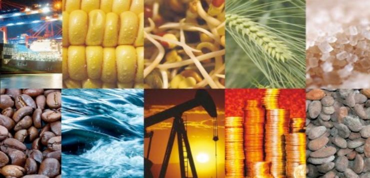 A Sugar Price Forecast for 2019