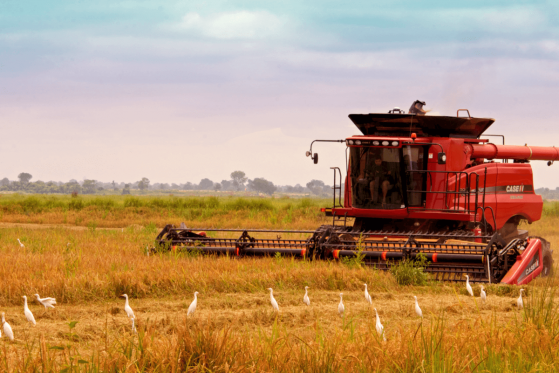 IBM to Trial Blockchain Agricultural System for sub-Saharan Africa