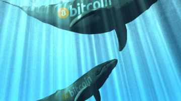 Previously Inactive Whales Are Moving Large Amounts of BTC