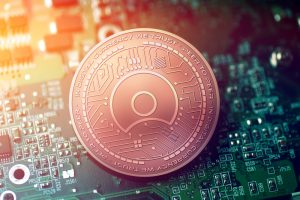 The Daily: Yellow Vest Coin Created, Security Token Trading Platform Launched