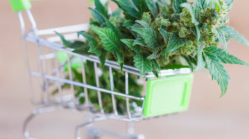 Canada Encourages Cannabis Sector to Transact Discreetly