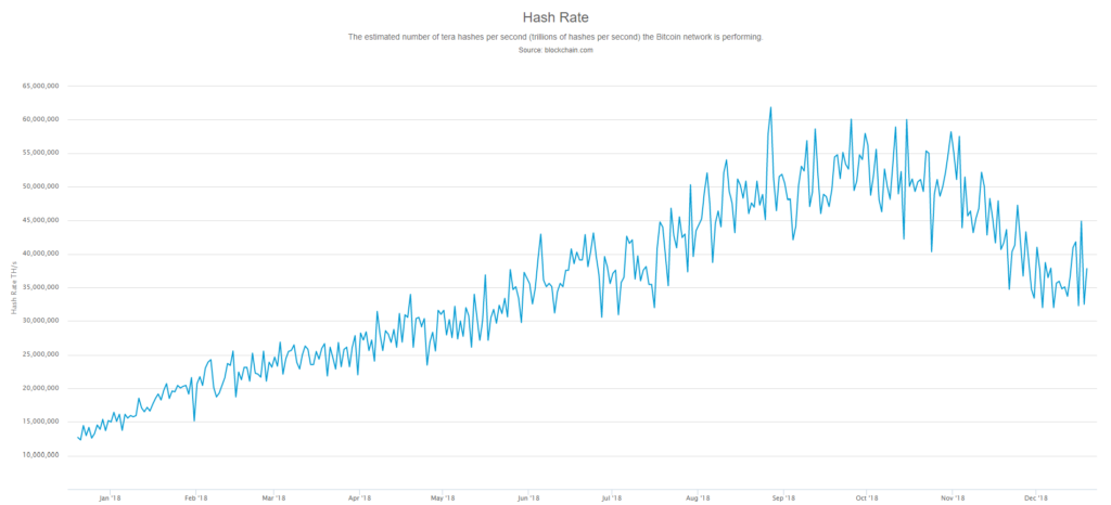 Crypto Miners are Struggling, Can They Survive the Bear Market