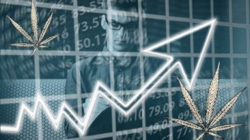 Cannabis Stock Sector: Go vs. No-Go For A 2019 Bull Market