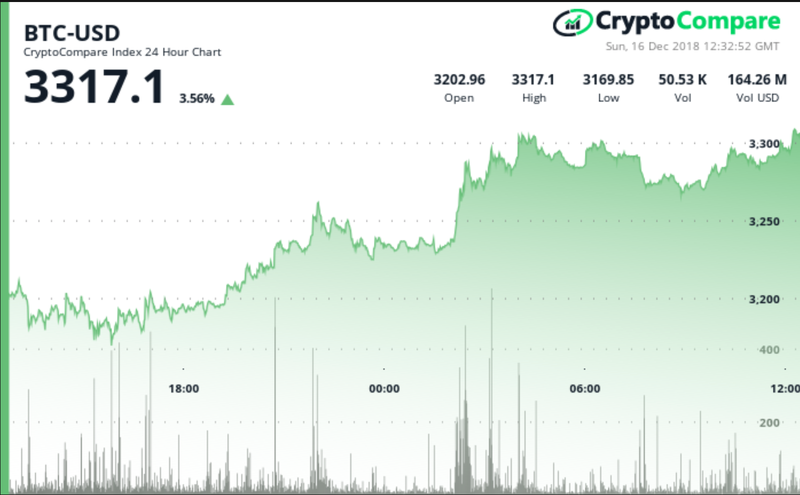 Bitcoin's price performance in the last 24-hour period