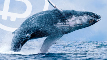 Bitcoin Whales and the Rise of Crypto-Fueled OTC Desks in 2018