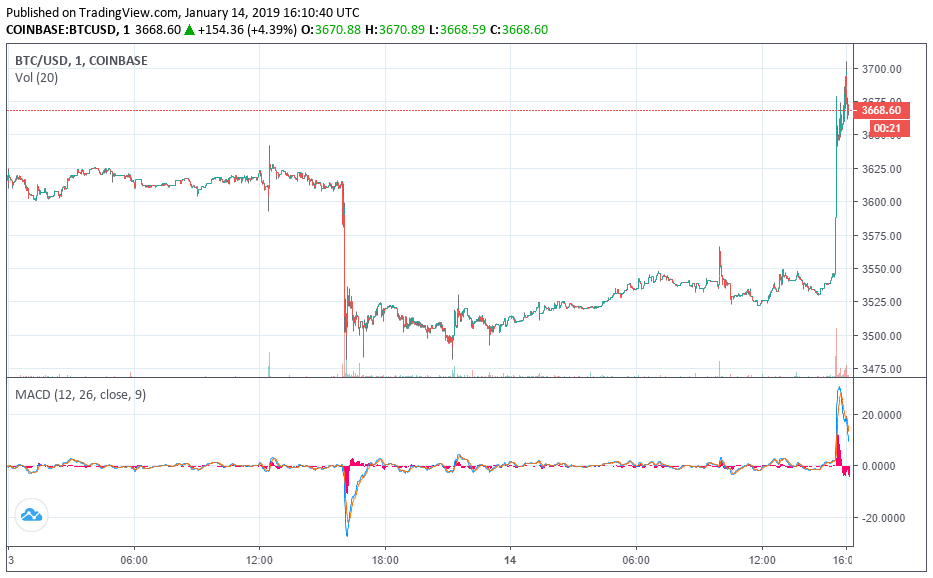 bitcoin price
