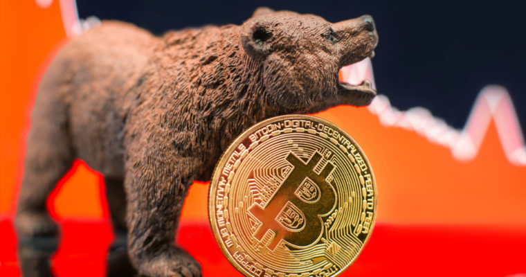 bitcoin price bear crypto vinny lingham