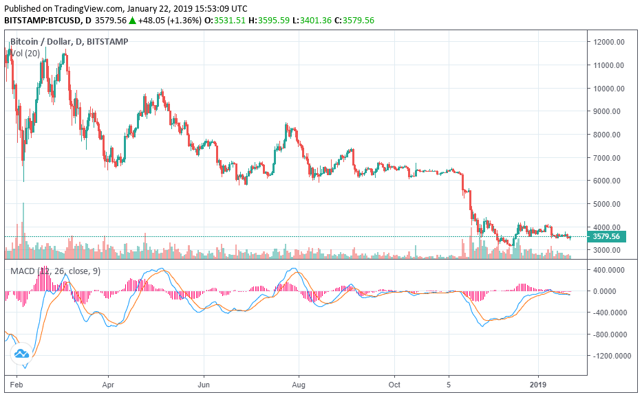bitcoin price