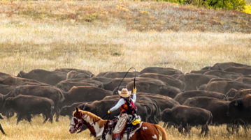 The Daily: NYC to Launch Blockchain Center, Wyoming Advances Industry-Friendly Bills