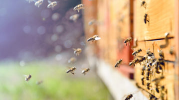 Hive Criticizes Norwegian Government Amid Concession Cuts to Miners