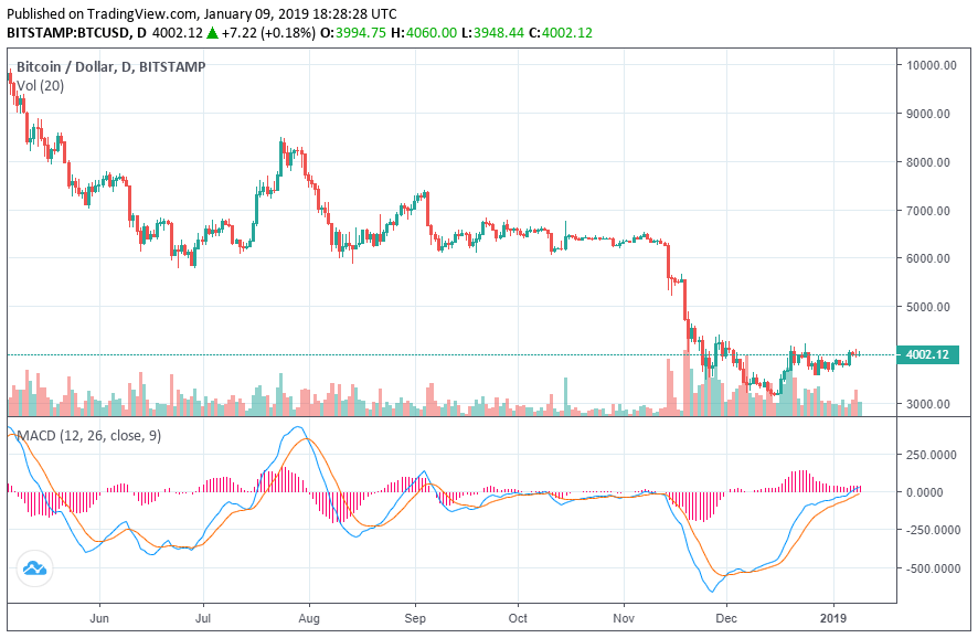 bitcoin price