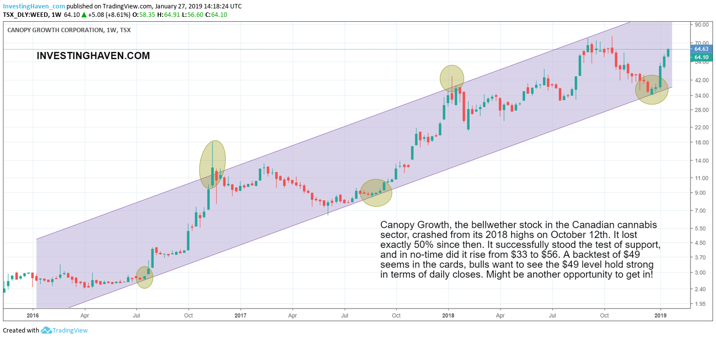 canopy growth