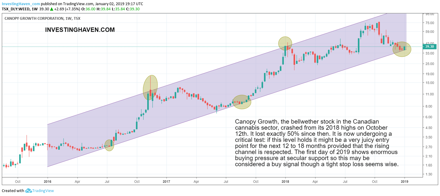 cannabis stock bull market 2019
