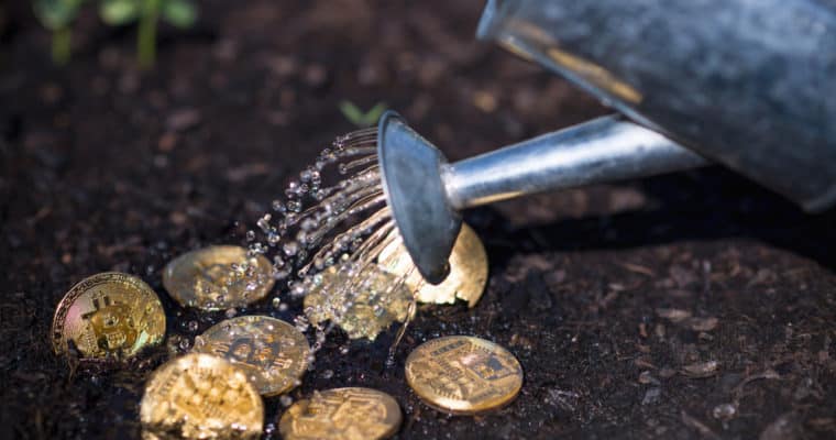 bitcoin garden crypto
