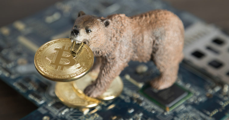 bitcoin price bear market
